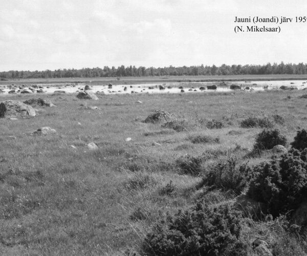 Maakond: Saaremaa Veekogu nimi: Jauni järv Pildistamise aeg: juuli 1959 Pildistaja: N. Mikelsaar Pildistamise koht: teadmata Asimuut: