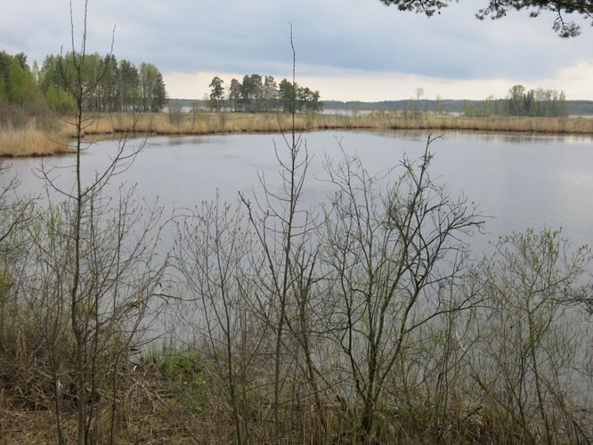 Maakond: Jõgevamaa Veekogu nimi: Jõemõisa ja Kaiu järv Pildistamise aeg: 8. mai 2014 Pildistaja: H. Timm Pildistamise koht: teadmata Asimuut