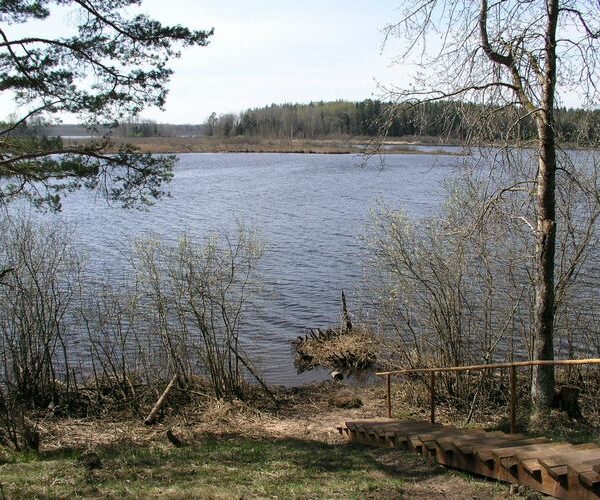 Maakond: Jõgevamaa Veekogu nimi: Jõemõisa järv Pildistamise aeg: 3. mai 2009 Pildistaja: H. Timm Pildistamise koht: teadmata Asimuut: