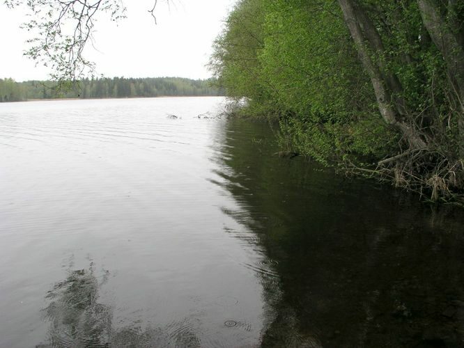 Maakond: Põlvamaa Veekogu nimi: Jõksi järv Pildistamise aeg: 15. mai 2003 Pildistaja: H. Timm Pildistamise koht: teadmata Asimuut: