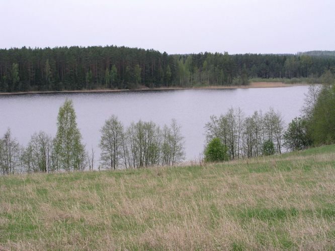 Maakond: Põlvamaa Veekogu nimi: Jõksi järv Pildistamise aeg: 15. mai 2003 Pildistaja: H. Timm Pildistamise koht: teadmata Asimuut: