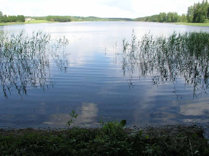 Maakond: Põlvamaa Veekogu nimi: Jõksi järv Pildistamise aeg: 30. juuni 2005 Pildistaja: H. Timm Pildistamise koht: teadmata Asimuut: