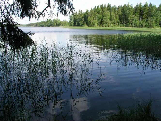 Maakond: Põlvamaa Veekogu nimi: Jõksi järv Pildistamise aeg: 30. juuni 2005 Pildistaja: H. Timm Pildistamise koht: teadmata Asimuut: