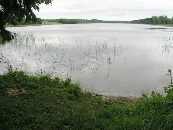 Maakond: Põlvamaa Veekogu nimi: Jõksi järv Pildistamise aeg: 28. juuni 2007 Pildistaja: H. Timm Pildistamise koht: teadmata Asimuut: