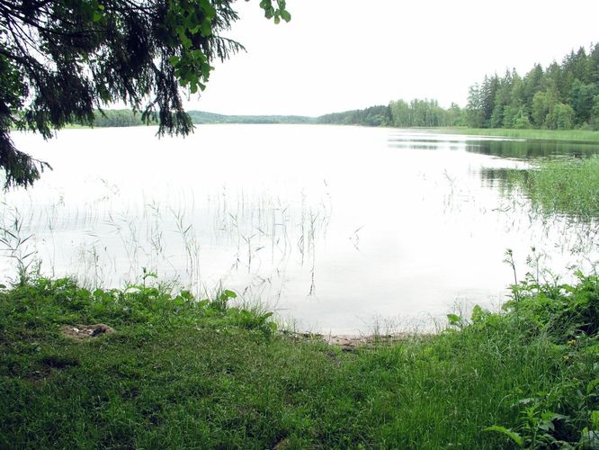 Maakond: Põlvamaa Veekogu nimi: Jõksi järv Pildistamise aeg: 28. juuni 2007 Pildistaja: H. Timm Pildistamise koht: teadmata Asimuut: