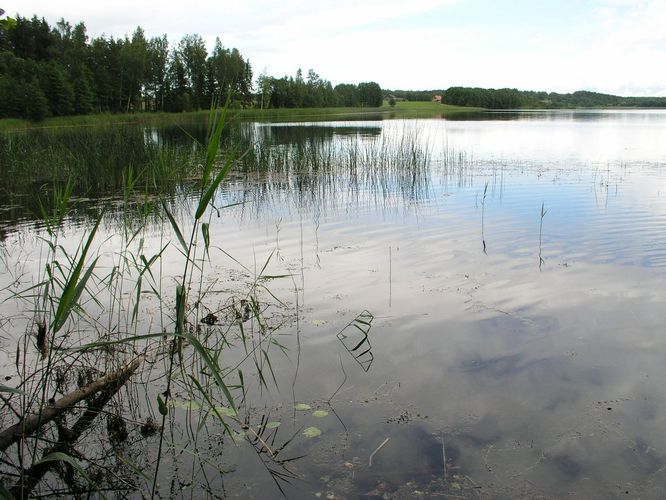 Maakond: Põlvamaa Veekogu nimi: Jõksi järv Pildistamise aeg: 3. juuli 2008 Pildistaja: H. Timm Pildistamise koht: teadmata Asimuut: