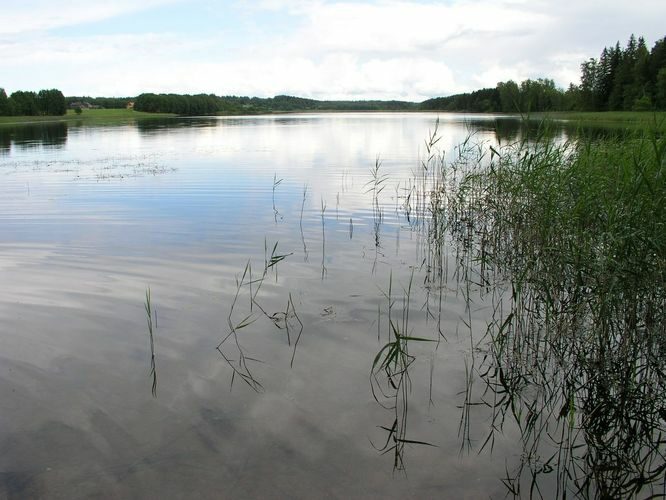 Maakond: Põlvamaa Veekogu nimi: Jõksi järv Pildistamise aeg: 3. juuli 2008 Pildistaja: H. Timm Pildistamise koht: teadmata Asimuut: