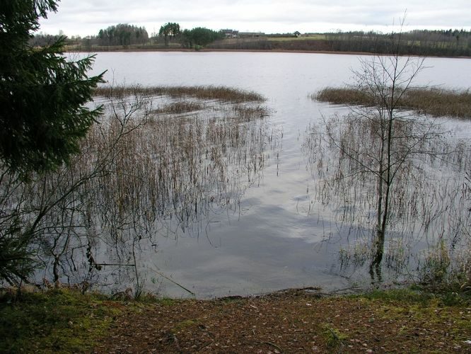 Maakond: Põlvamaa Veekogu nimi: Jõksi järv Pildistamise aeg: 1. november 2008 Pildistaja: H. Timm Pildistamise koht: teadmata Asimuut: