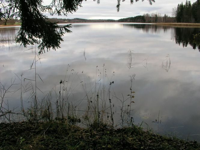 Maakond: Põlvamaa Veekogu nimi: Jõksi järv Pildistamise aeg: 1. november 2008 Pildistaja: H. Timm Pildistamise koht: teadmata Asimuut: