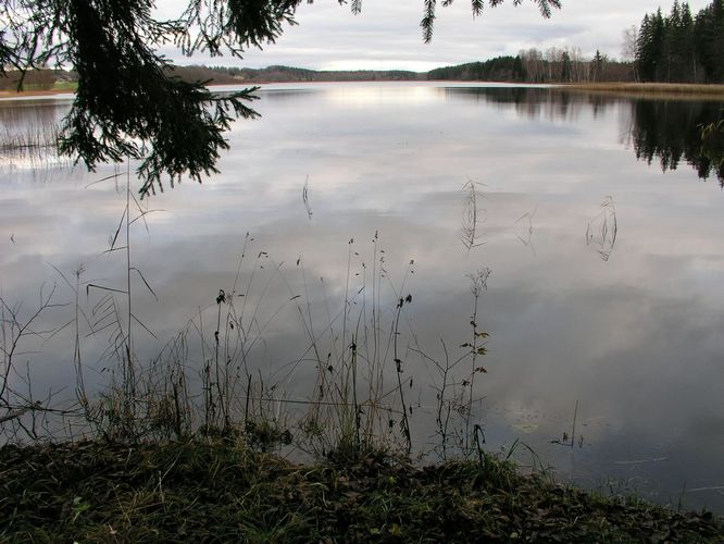 Maakond: Põlvamaa Veekogu nimi: Jõksi järv Pildistamise aeg: 1. november 2008 Pildistaja: H. Timm Pildistamise koht: teadmata Asimuut: