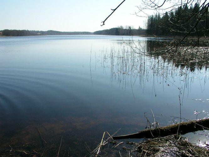 Maakond: Põlvamaa Veekogu nimi: Jõksi järv Pildistamise aeg: 26. aprill 2009 Pildistaja: H. Timm Pildistamise koht: teadmata Asimuut: