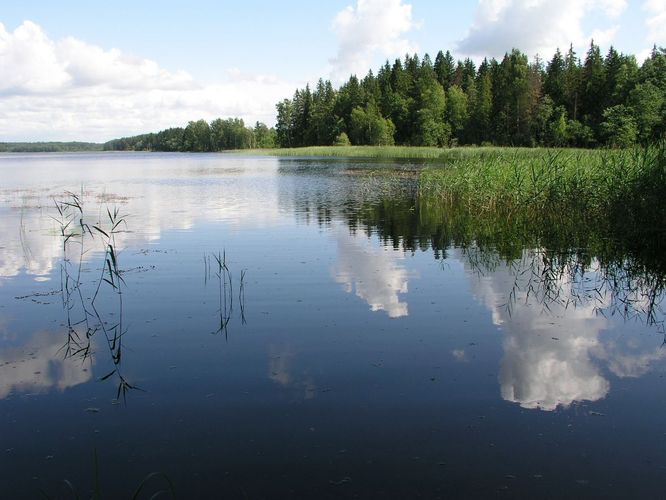 Maakond: Põlvamaa Veekogu nimi: Jõksi järv Pildistamise aeg: 27. juuli 2009 Pildistaja: H. Timm Pildistamise koht: teadmata Asimuut: