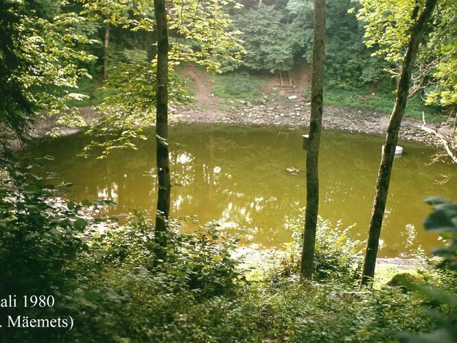 Maakond: Saaremaa Veekogu nimi: Kaali järv Pildistamise aeg: 1980 Pildistaja: A. Mäemets Pildistamise koht: teadmata Asimuut: