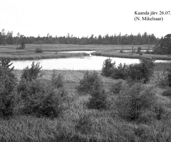 Maakond: Saaremaa Veekogu nimi: Kaanda järv Pildistamise aeg: 26. juuli 1956 Pildistaja: N. Mikelsaar Pildistamise koht: teadmata Asimuut: