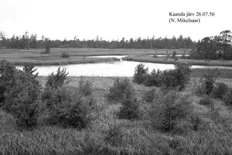 Maakond: Saaremaa Veekogu nimi: Kaanda järv Pildistamise aeg: 26. juuli 1956 Pildistaja: N. Mikelsaar Pildistamise koht: teadmata Asimuut: