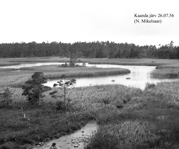 Maakond: Saaremaa Veekogu nimi: Kaanda järv Pildistamise aeg: 26. juuli 1956 Pildistaja: N. Mikelsaar Pildistamise koht: S osa Asimuut: W