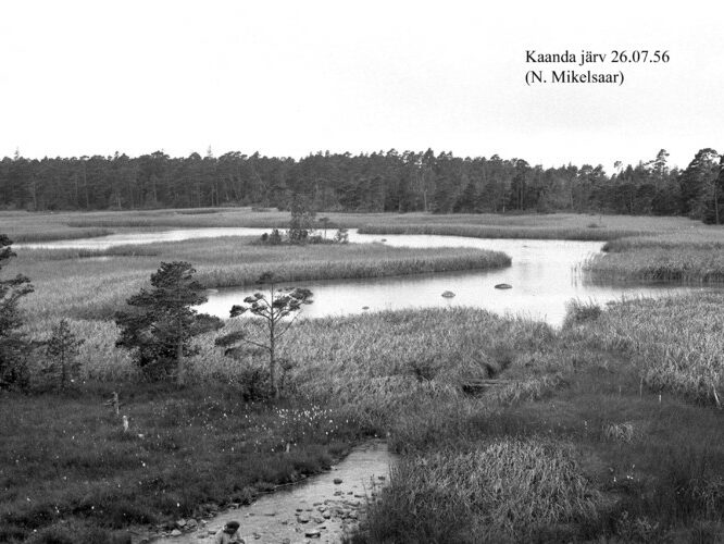 Maakond: Saaremaa Veekogu nimi: Kaanda järv Pildistamise aeg: 26. juuli 1956 Pildistaja: N. Mikelsaar Pildistamise koht: S osa Asimuut: W