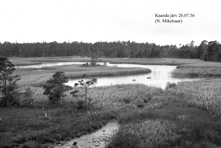 Maakond: Saaremaa Veekogu nimi: Kaanda järv Pildistamise aeg: 26. juuli 1956 Pildistaja: N. Mikelsaar Pildistamise koht: S osa Asimuut: W