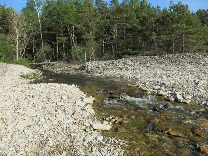 Maakond: Saaremaa Veekogu nimi: Kaanda jõgi Pildistamise aeg: 22. mai 2014 Pildistaja: H. Timm Pildistamise koht: suue Asimuut: