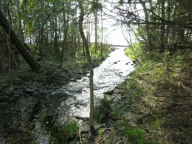 Maakond: Saaremaa Veekogu nimi: Kaanda jõgi Pildistamise aeg: 22. mai 2014 Pildistaja: H. Timm Pildistamise koht: suue Asimuut: