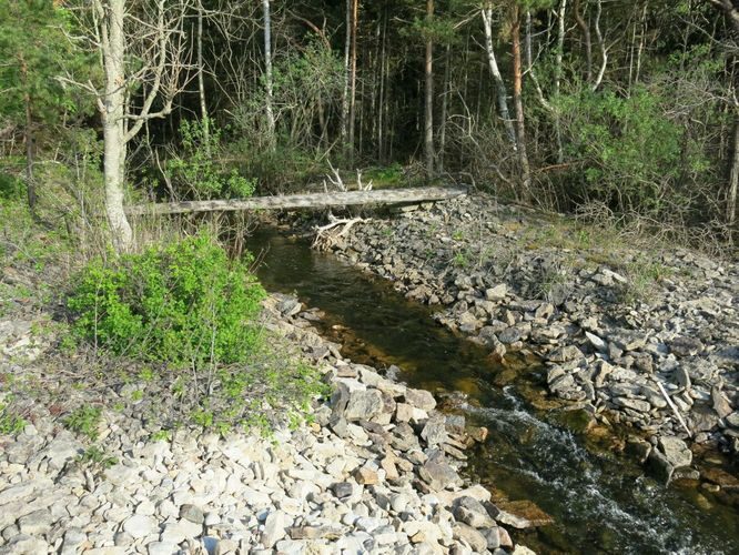 Maakond: Saaremaa Veekogu nimi: Kaanda jõgi Pildistamise aeg: 22. mai 2014 Pildistaja: H. Timm Pildistamise koht: suue Asimuut: