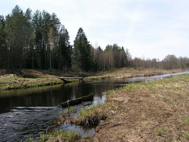 Maakond: Jõgevamaa Veekogu nimi: Kääpa jõgi Pildistamise aeg: 3. mai 2009 Pildistaja: H. Timm Pildistamise koht: Saare-Pedassaare sild Asimuut: