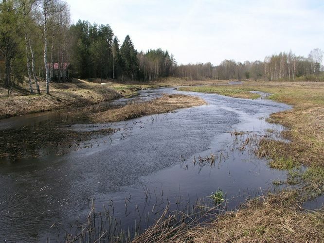 Maakond: Jõgevamaa Veekogu nimi: Kääpa jõgi Pildistamise aeg: 3. mai 2009 Pildistaja: H. Timm Pildistamise koht: Saare-Pedassaare sild Asimuut: