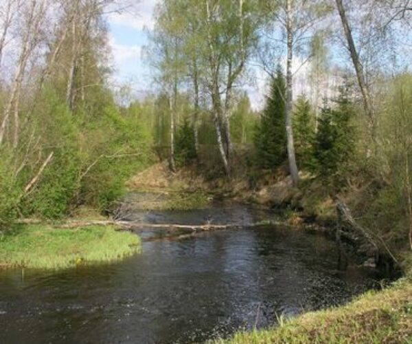 Maakond: Jõgevamaa Veekogu nimi: Kääpa jõgi Pildistamise aeg: 7. mai 2009 Pildistaja: H. Timm Pildistamise koht: Koseveski, 200 m paisust allpool Asimuut: