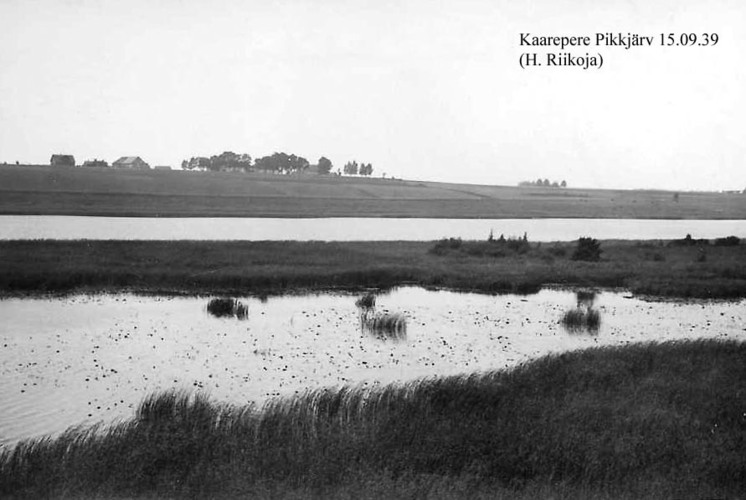 Maakond: Jõgevamaa Veekogu nimi: Kaarepere Pikkjärv Pildistamise aeg: 15. september 1939 Pildistaja: H. Riikoja Pildistamise koht: E kaldalt, lahesopp Asimuut: W