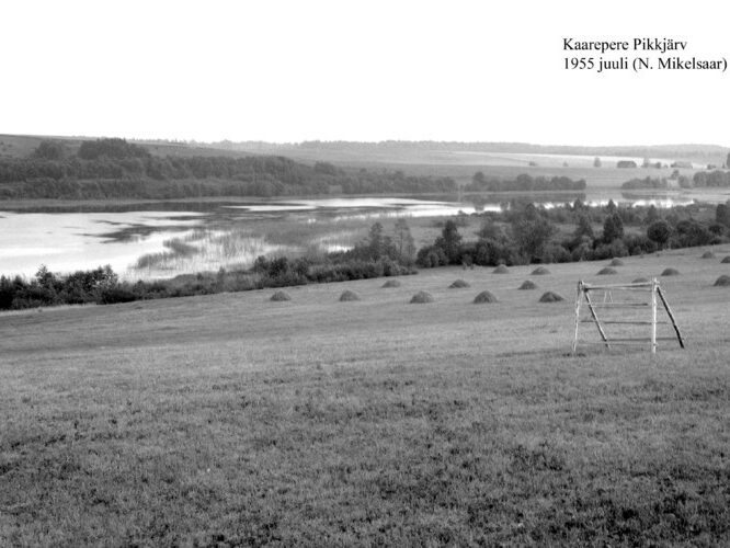 Maakond: Jõgevamaa Veekogu nimi: Kaarepere Pikkjärv Pildistamise aeg: juuli 1955 Pildistaja: N. Mikelsaar Pildistamise koht: W kaldalt Asimuut: E