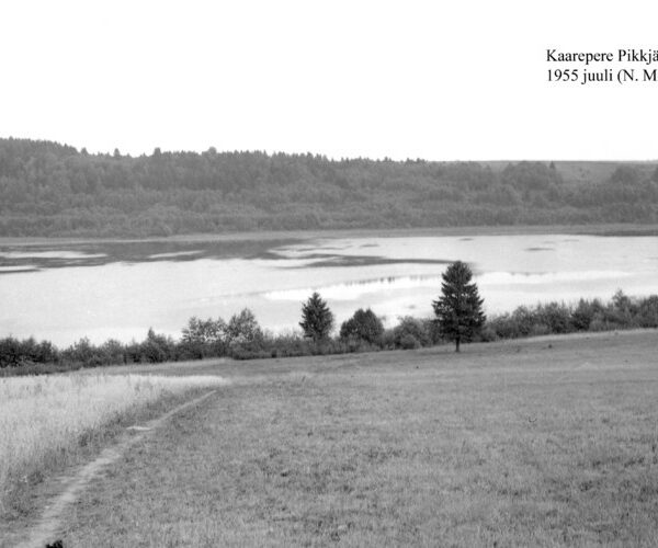 Maakond: Jõgevamaa Veekogu nimi: Kaarepere Pikkjärv Pildistamise aeg: juuli 1955 Pildistaja: N. Mikelsaar Pildistamise koht: W kaldalt Asimuut: NE