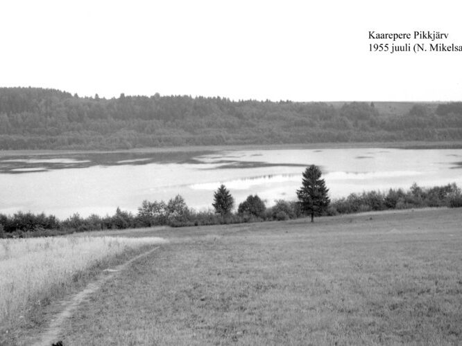 Maakond: Jõgevamaa Veekogu nimi: Kaarepere Pikkjärv Pildistamise aeg: juuli 1955 Pildistaja: N. Mikelsaar Pildistamise koht: W kaldalt Asimuut: NE