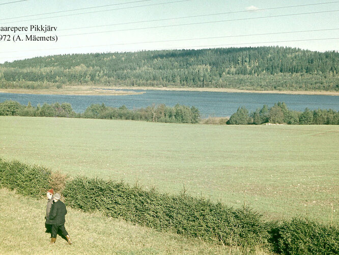 Maakond: Jõgevamaa Veekogu nimi: Kaarepere Pikkjärv Pildistamise aeg: 1972 Pildistaja: A. Mäemets Pildistamise koht: W kaldalt Asimuut: NE