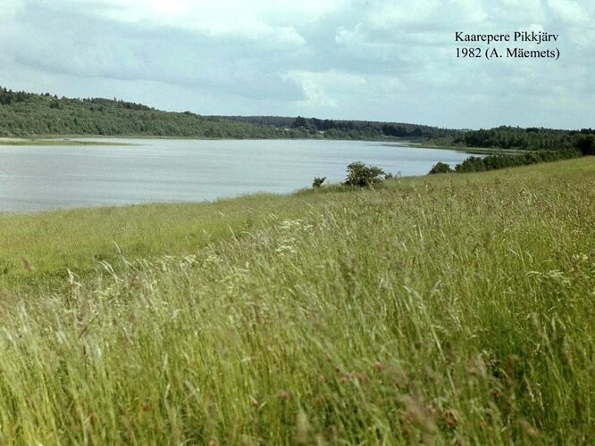 Maakond: Jõgevamaa Veekogu nimi: Kaarepere Pikkjärv Pildistamise aeg: 1982 Pildistaja: A. Mäemets Pildistamise koht: W kaldalt Asimuut: E