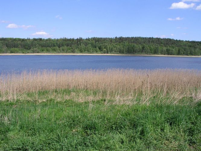 Maakond: Jõgevamaa Veekogu nimi: Kaarepere Pikkjärv Pildistamise aeg: 24. mai 2007 Pildistaja: H. Timm Pildistamise koht: teadmata Asimuut: