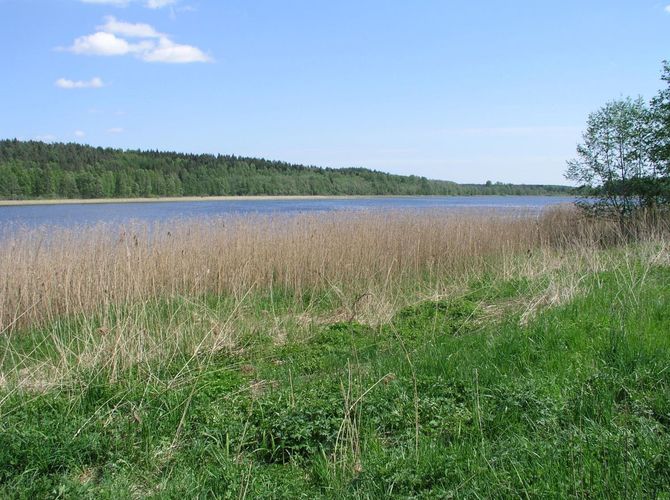 Maakond: Jõgevamaa Veekogu nimi: Kaarepere Pikkjärv Pildistamise aeg: 24. mai 2007 Pildistaja: H. Timm Pildistamise koht: teadmata Asimuut: