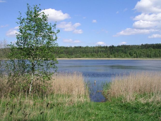 Maakond: Jõgevamaa Veekogu nimi: Kaarepere Pikkjärv Pildistamise aeg: 24. mai 2007 Pildistaja: H. Timm Pildistamise koht: teadmata Asimuut: