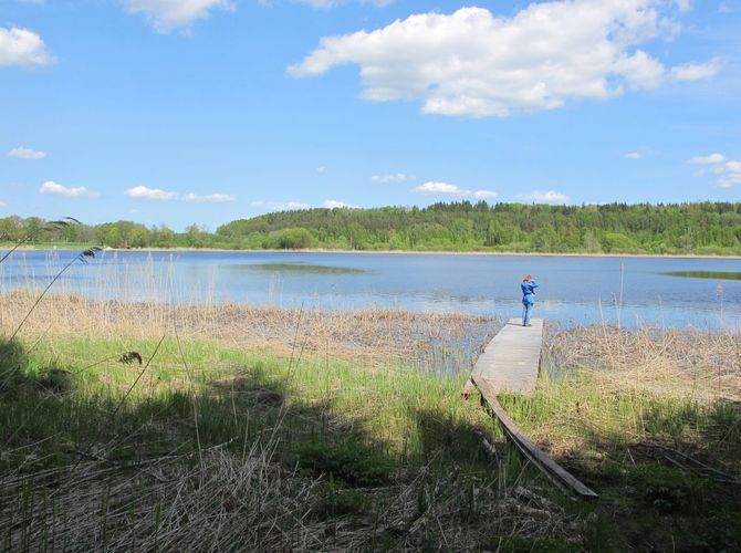 Maakond: Jõgevamaa Veekogu nimi: Kaarepere Pikkjärv Pildistamise aeg: 20. mai 2011 Pildistaja: H. Timm Pildistamise koht: teadmata Asimuut: