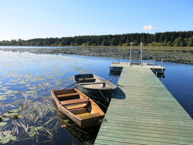 Maakond: Jõgevamaa Veekogu nimi: Kaarepere Pikkjärv Pildistamise aeg: 4. september 2013 Pildistaja: H. Timm Pildistamise koht: teadmata Asimuut: