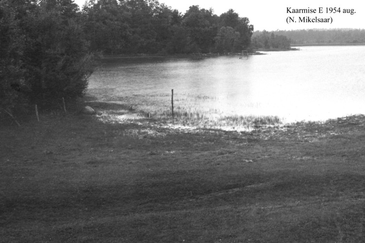 Maakond: Saaremaa Veekogu nimi: Kaarmise järv Pildistamise aeg: august 1954 Pildistaja: N. Mikelsaar Pildistamise koht: E kaldalt Asimuut: W