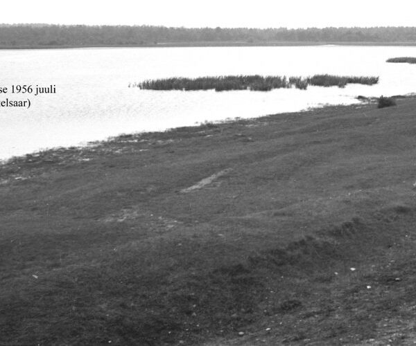 Maakond: Saaremaa Veekogu nimi: Kaarmise järv Pildistamise aeg: juuli 1956 Pildistaja: N. Mikelsaar Pildistamise koht: E kaldalt Asimuut: NW