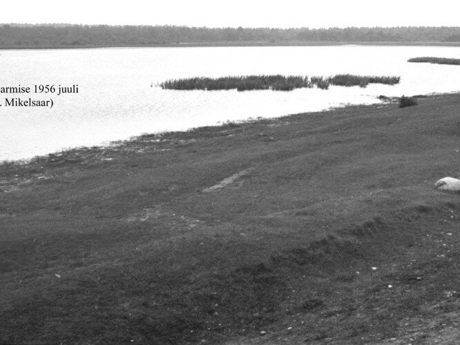 Maakond: Saaremaa Veekogu nimi: Kaarmise järv Pildistamise aeg: juuli 1956 Pildistaja: N. Mikelsaar Pildistamise koht: E kaldalt Asimuut: NW