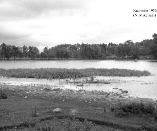 Maakond: Saaremaa Veekogu nimi: Kaarmise järv Pildistamise aeg: juuli 1956 Pildistaja: N. Mikelsaar Pildistamise koht: NE kaldalt Asimuut: SW