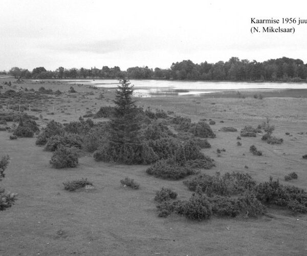 Maakond: Saaremaa Veekogu nimi: Kaarmise järv Pildistamise aeg: juuli 1956 Pildistaja: N. Mikelsaar Pildistamise koht: N kaldalt Asimuut: S