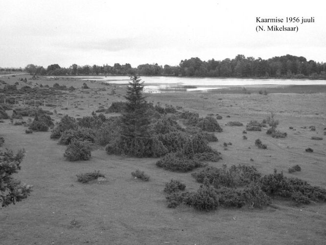 Maakond: Saaremaa Veekogu nimi: Kaarmise järv Pildistamise aeg: juuli 1956 Pildistaja: N. Mikelsaar Pildistamise koht: N kaldalt Asimuut: S