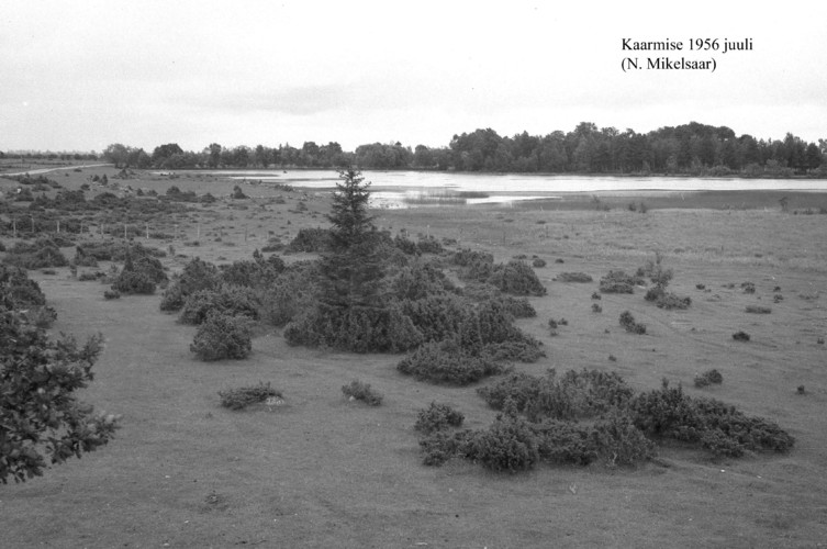 Maakond: Saaremaa Veekogu nimi: Kaarmise järv Pildistamise aeg: juuli 1956 Pildistaja: N. Mikelsaar Pildistamise koht: N kaldalt Asimuut: S