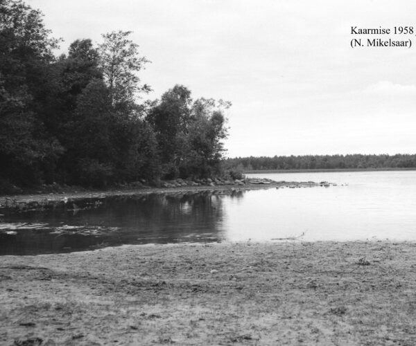 Maakond: Saaremaa Veekogu nimi: Kaarmise järv Pildistamise aeg: juuli 1958 Pildistaja: N. Mikelsaar Pildistamise koht: E kaldalt Asimuut: W