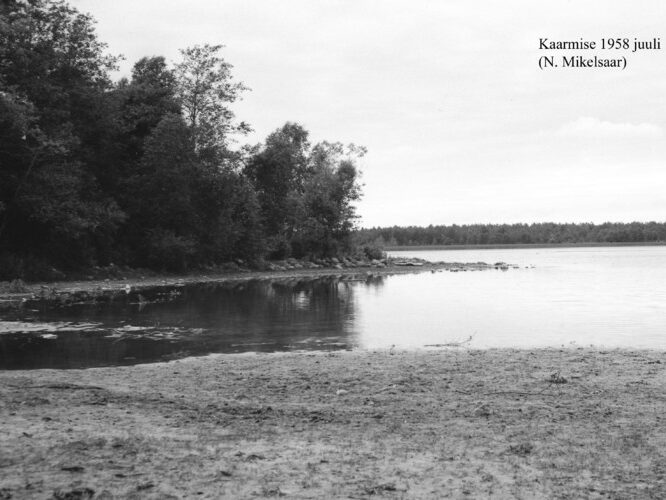 Maakond: Saaremaa Veekogu nimi: Kaarmise järv Pildistamise aeg: juuli 1958 Pildistaja: N. Mikelsaar Pildistamise koht: E kaldalt Asimuut: W