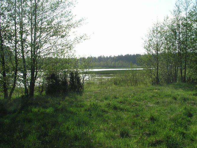 Maakond: Saaremaa Veekogu nimi: Kaarmise järv Pildistamise aeg: 26. mai 2005 Pildistaja: H. Timm Pildistamise koht: teadmata Asimuut: