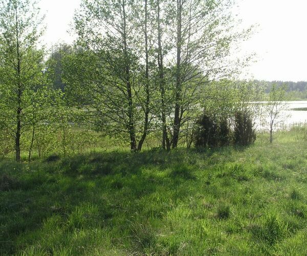 Maakond: Saaremaa Veekogu nimi: Kaarmise järv Pildistamise aeg: 26. mai 2005 Pildistaja: H. Timm Pildistamise koht: teadmata Asimuut: